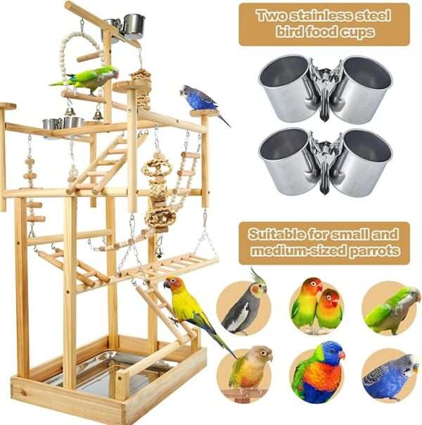 Bird Playground - Natural Wood - Image 4