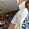 Major Mitchell's Cockatoo/ Bobo