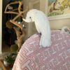Goffin Cockatoo/ Picachu - Image 4